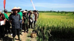 BALANGAN BUMI SANGGAM BUPATI BALANGAN TERIMA PENGHARGAAN SATYA LENCANA BIDANG PERTANIAN