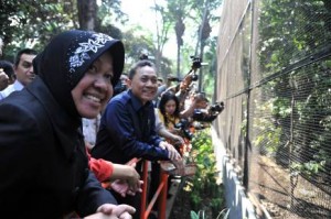 Menhut Serahkan SK Izin LK KBS Ke Walikota Surabaya