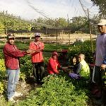 BKPH GONDANG SIAP REBOISASI 2019