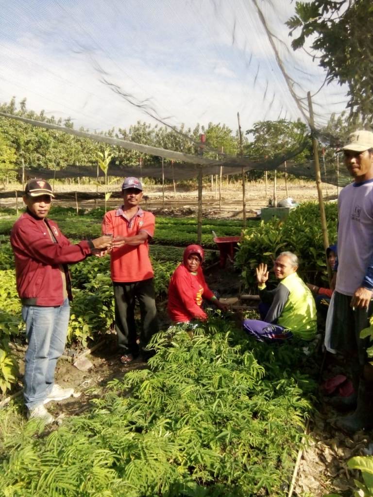 KRPH Dodol, Wanijan, saat memeriksa bibit kopi yang disodorkan mandor Suparman.