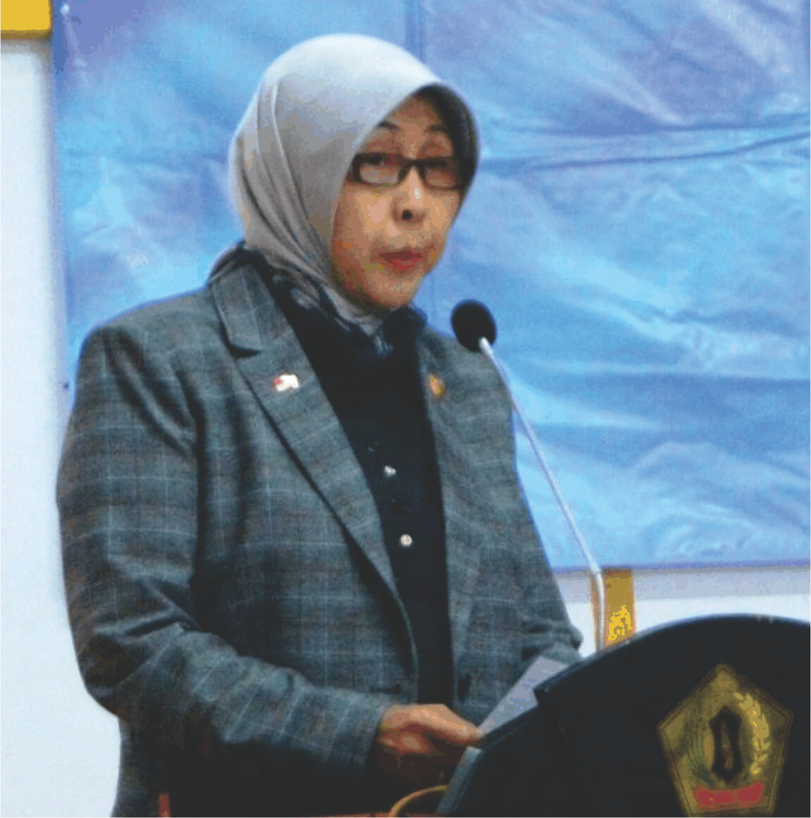 Bupati Barito Kuala (Batola), Hj Noormiliyani AS.