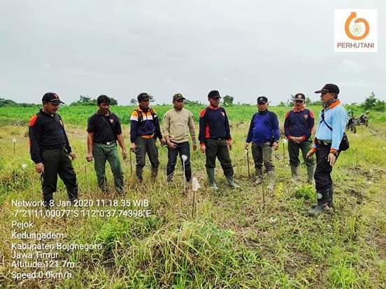 ADM/KKPH Bojonegoro dan Waka Adm Sub Bojonegoro Timur ketika meninjau tanaman di BKPH Bareng disambut oleh Asper Bareng, Jhon Sapulete, Kaur TK Sutrisno, serta para KRPH.