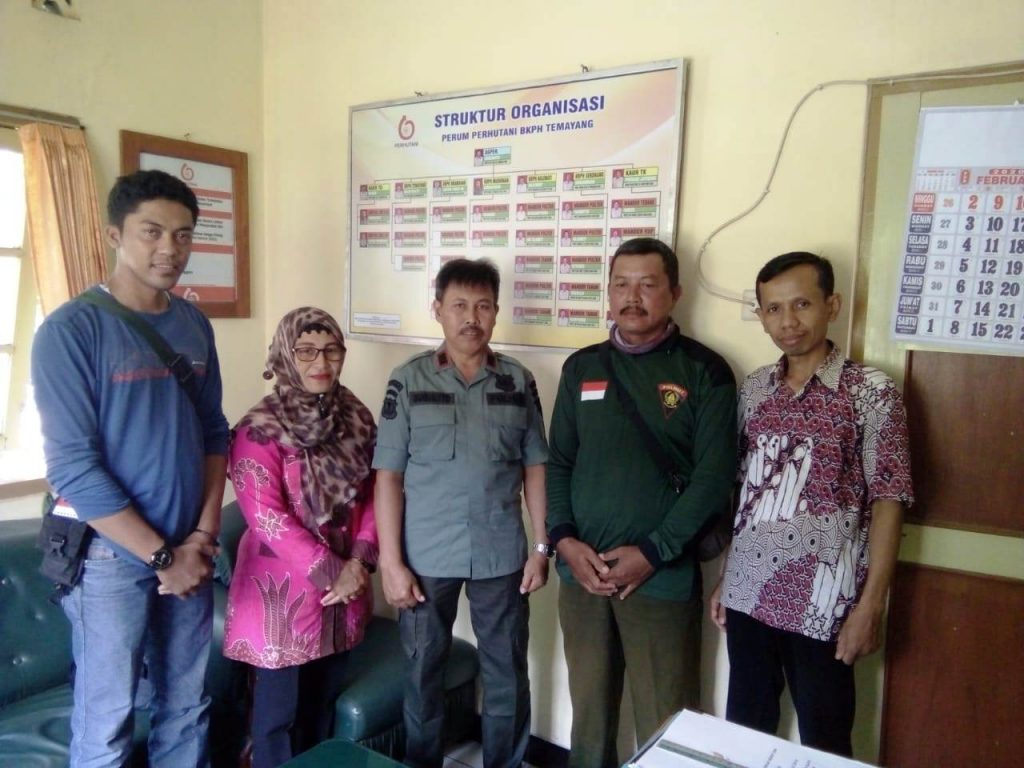 TANAMAN RHL BKPH TEMAYANG SUKSES