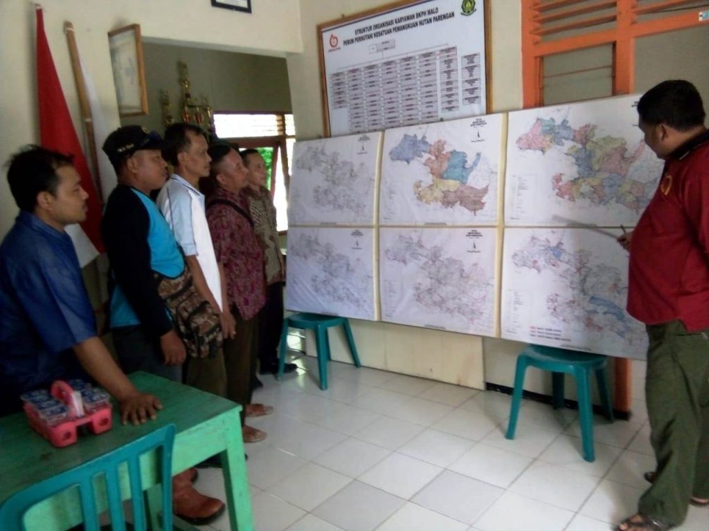 BKPH MALO SUDAH 60 % ANGKUTI KAYU HUTAN AKIBAT BENCANA