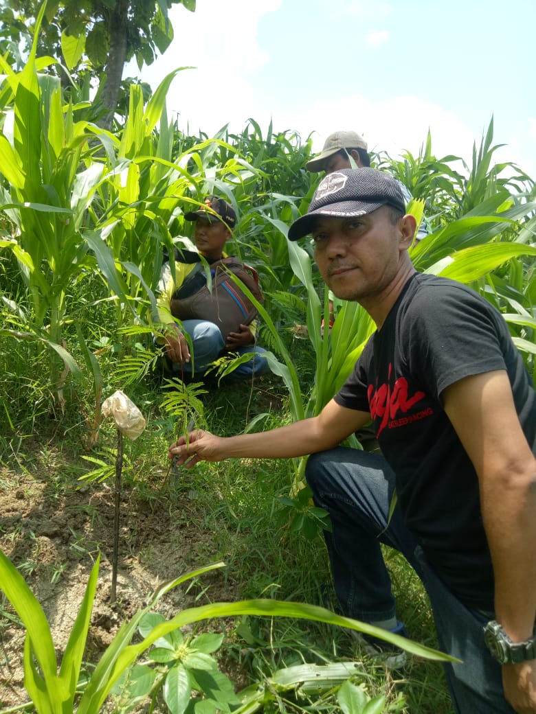 Asper Deling, Karianto SHut, bersama anggota dengan bangga menunjukkan tanaman kaliandra-nya yang tumbuh subur.
