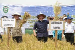 Herman Deru Belum Puas Sumsel Masuk 5 Besar Penghasil Beras Nasional