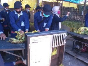 Dinas Pertanian Kabupaten Ngawi Menangani Panen dan Pasca Panen Tembakau 2020 Di Kabupaten Ngawi