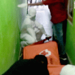 Tercium Bau Mirip Bangkai, Seorang Penghuni Kos Terkejut Temukan Ini