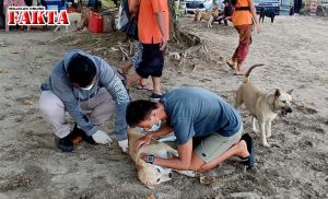 Vaksinasi Anjing Liar, Ini Kata Kadis Pertanian dan Pangan Badung, Bali