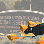 Usut Tuntas Dugaan Penyimpangan Anggaran di Dinkes Kabupaten Tulang Bawang