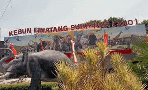 Libur Idul Fitri, Kebun Bintang Surabaya Diserbu Pengunjung