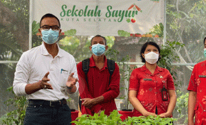 Kadis Pertanian Badung Apresiasi Petani Hidroponik Jejukutan Jimbaran