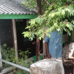 Ditemukan Tewas, Seorang Perempuan Pakai Daster di Atas Kasur