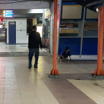 Begini Situasi Terminal Purabaya Pasca Libur Idul Ftri 2021