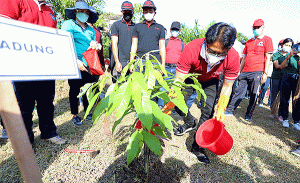 Bupati Giri Prasta Pimpin Gerakan Serentak Penanaman Pohon di Munggu