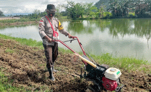 Upaya Polresta Jayapura Kota Tingkatkan Ketahanan Pangan di Masa Pandemi Covid-19