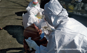 Melintas Jembatan Suramadu, Pengendara Wajib Test Swab Antigen