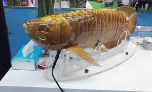 Perusahaan Cina Kembangkan Robot Mirip Ikan Arwana, Punya Kemampuan sebagai Alat Spionase