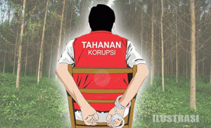 Divonis Penjara, Tiga Terdakwa Korupsi Reboisasi di Kapuas Hulu, Kalimantan Barat