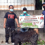 Idul Adha 1442 H, Indah Kurnia Beri Bantuan Hewan Kurban