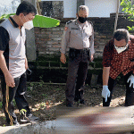 Tebang Pohon, Seorang Pria Meninggal Terkena Kapak di Ponorogo