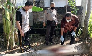 Tebang Pohon, Seorang Pria Meninggal Terkena Kapak di Ponorogo