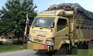 Pelaku Pelemparan Truk Diringkus Polisi di Labuhanbatu, Disinyalir Ada Aktor Dibalik Aksinya