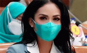 Fraksi PDI Perjuangan Panggil Krisdayanti