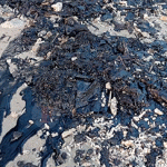 Limbah Hitam Cemari Pantai di Pesisir Teluk Lampung