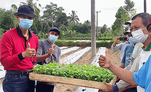 Antisipasi Kenaikan dan Kelangkaan Cabai, Begini Upaya Pemkab Badung