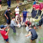 Dukung Ketahanan Pangan Masa Pandemi, Begini Upaya Dinas Perikanan Kabupaten Badung