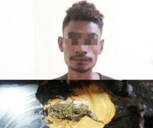 Polisi Gagalkan Penyelundupan Ganja