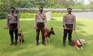 Tak Sekadar Piawai Lacak Narkoba, Begini Profil Unit K-9 Polda Banten