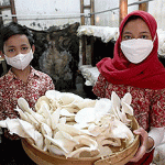 Adiwiyata Provinsi Jawa Timur 2021, 12 Sekolah Kota Surabaya Lolos Tahap Awal