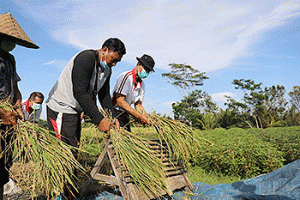 Kadistan dan Pangan Badung Apresiasi Pemanfaatan Pupuk Organik