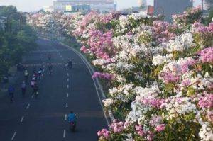 Penghargaan Udara Terbersih di Asia Tenggara Diraih Kota Surabaya