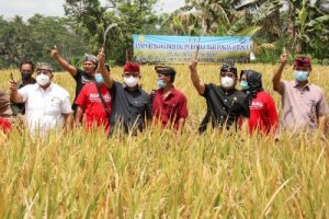 Hari Pangan Sedunia, Pemkab Badung Mantapkan Pembangunan Sektor Pertanian dari Hulu ke Hilir