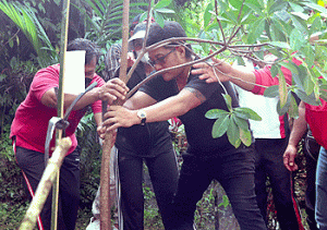 Penanaman Pohon Bentuk Yadnya Menjaga Alam di Pelaga, Badung