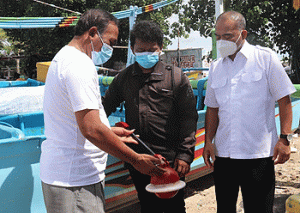 Aplikasi Patriot Pemkab Badung Dikompetisikan di Ajang Internasional