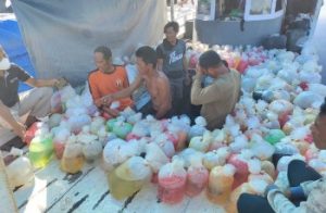 Tangkap Ikan Hias Dilindungi, Nelayan Asal Bali Diringkus Polda Kaltim