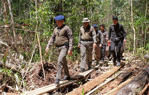 Illegal Loging, Polda Riau Ungkap 29 Kasus Amankan 41 Tersangka