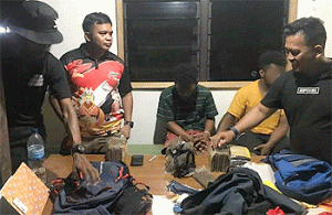 Paket Ganja Senilai Puluhan Juta Diamankan Polisi di Perbatasan RI-PNG