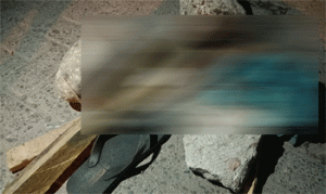 Seorang Tewas, Korban Tawuran di Klambir Raya, Medan Helvetia