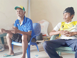 Harga Gabah Merosot, Petani di Pringsewu Butuh Solusi dari Pemerintah