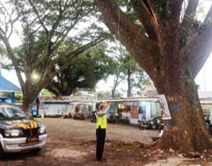 Patroli Siang, Personel Polsek Lawang Pemantauan Antisipasi Pohon Besar Tumbang