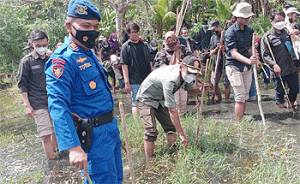Satpolairud Polres Malang dan Mahasiswa UB Tanam Mangrove di Pantai Kondang Anyar