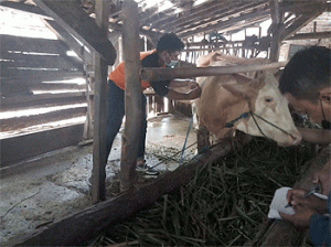 Tim RG-RMP Fapet UB Lakukan Penelitian Eksplorasi Data Dasar di Sumber Pucung, Malang