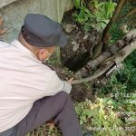 Diprediksi Rugi Rp 20 Juta, Polsek Pagelaran Bekuk Tiga Pencuri Kabel Telkom