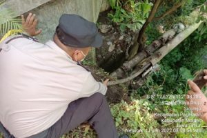 Diprediksi Rugi Rp 20 Juta, Polsek Pagelaran Bekuk Tiga Pencuri Kabel Telkom