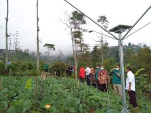 Growth Lamp Tenaga Surya untuk Peningkatan Kualitas Tanaman Bawang